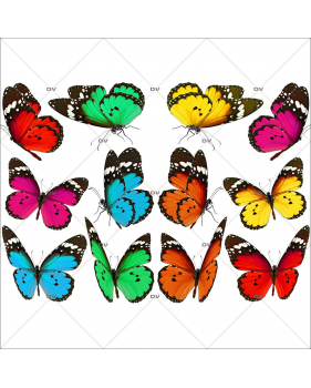 Sticker-papillons-multicolores-insectes-printemps-animaux-été-vitrophanie-décoration-vitrine-printanière-estivale-électrostatique-sans-colle-repositionnable-réutilisable-DECO-VITRES