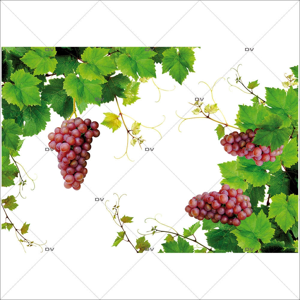 Sticker-angles-feuilles-de-vigne-grappes-raisins-vitrophanie-décoration-vitrine-cave-caviste-bar-à-vins-restaurant-supermarché-électrostatique-sans-colle-repositionnable-réutilisable-DECO-VITRES