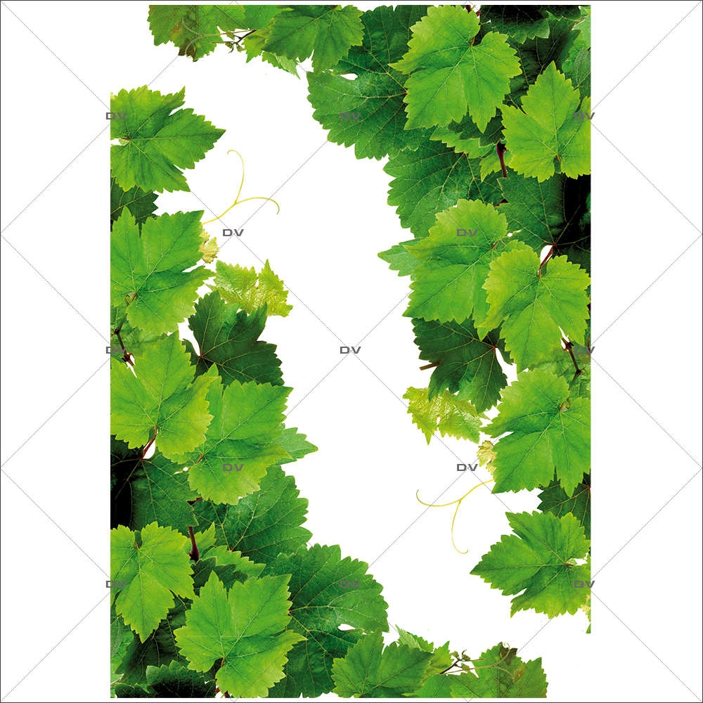 Sticker-angles-feuilles-de-vigne-vitrophanie-décoration-vitrine-cave-caviste-bar-à-vins-restaurant-supermarché-électrostatique-sans-colle-repositionnable-réutilisable-DECO-VITRES