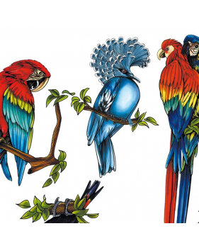 Sticker-5-oiseaux-exotiques-aras-perroquets-toucan-cacatoès-pigeon-été-animaux-vitrophanie-décoration-vitrine-estivale-électrostatique-sans-colle-repositionnable-réutilisable-DECO-VITRES