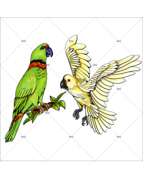 Sticker-2-oiseaux-exotiques-perroquets-cacatoès-été-animaux-vitrophanie-décoration-vitrine-estivale-électrostatique-sans-colle-repositionnable-réutilisable-DECO-VITRES