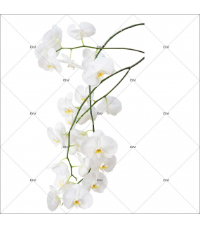 Sticker-branche-orchidées-blanches-fleurs-exotiques-tropicales-zen-asie-thaïlande-vitrophanie-décoration-vitrine-estivale-spa-institut-de-beauté-électrostatique-sans-colle-repositionnable-réutilisable-DECO-VITRES