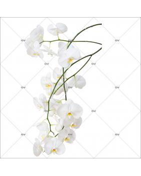 Sticker-branche-orchidées-blanches-fleurs-exotiques-tropicales-zen-asie-thaïlande-vitrophanie-décoration-vitrine-estivale-spa-institut-de-beauté-électrostatique-sans-colle-repositionnable-réutilisable-DECO-VITRES