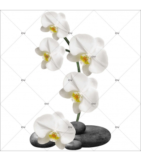 Sticker-orchidées-et-galets-fleurs-exotiques-tropicales-zen-asie-thaïlande-vitrophanie-décoration-vitrine-estivale-spa-institut-de-beauté-électrostatique-sans-colle-repositionnable-réutilisable-DECO-VITRES